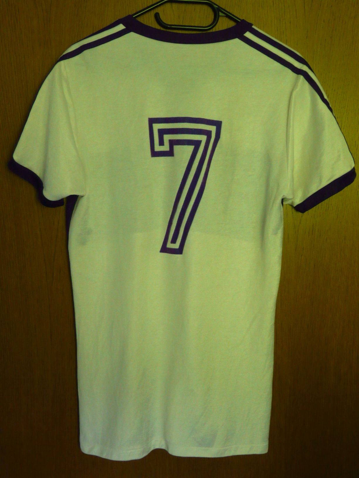 trikot-393-austria-steinkogler-r9DD8396C-6710-A739-A170-F33B4BDA730A.jpg