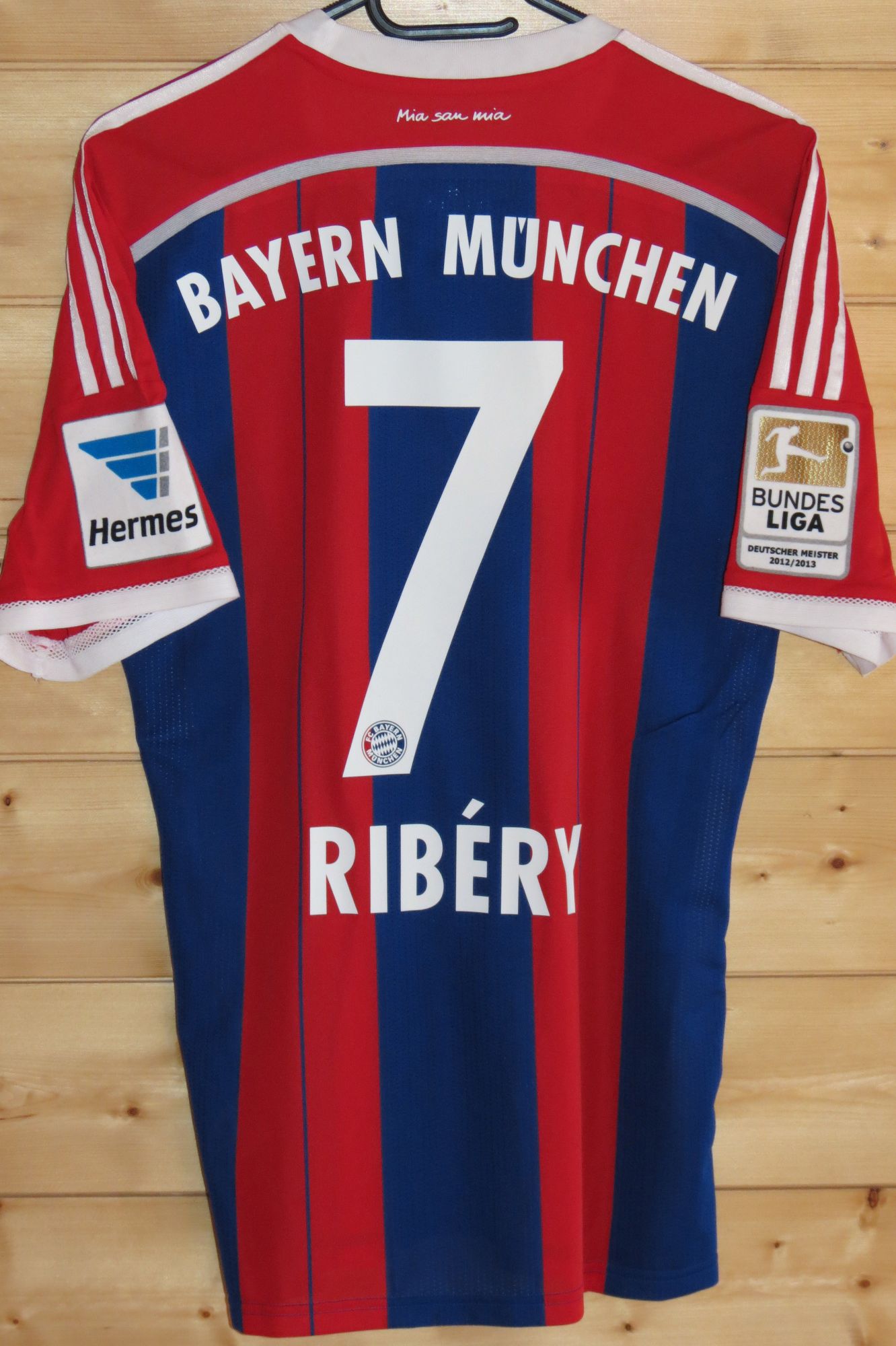 trikot-907-bayern-ribery-rDFB79A0E-2D34-0082-F1AB-65EA81902F11.jpg