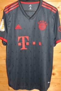 trikot-1684-bayern-choupomoting-f1C1FD304-4278-284F-76B2-2871C2AE2869.jpg